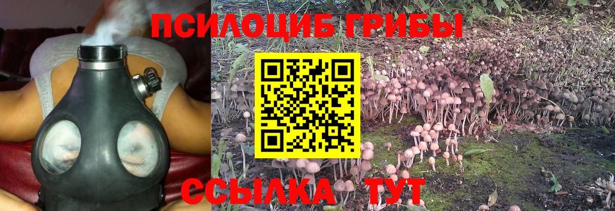 Галлюциногенные грибы прущие грибы Ульяновск